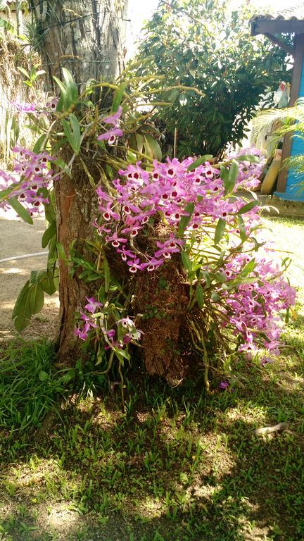 Estacao Paraiso Chale เบอร์ทีโอกา ภายนอก รูปภาพ